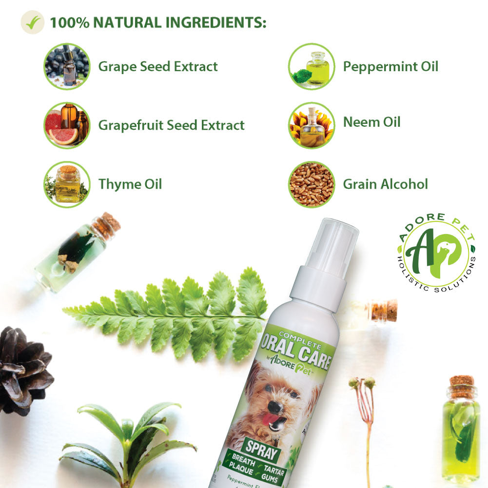 Dog Oral Care Spray – Fresh Breath & Plaque Control – alternate view 10
