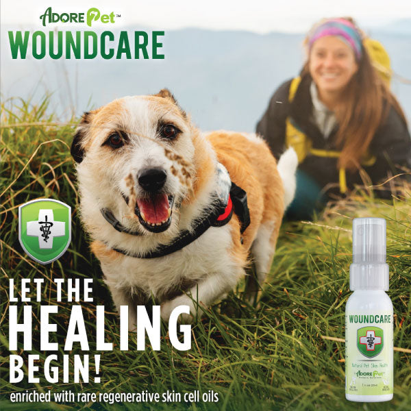 Adore Pet Wound Care Oil for Dogs – photo 3 of 7