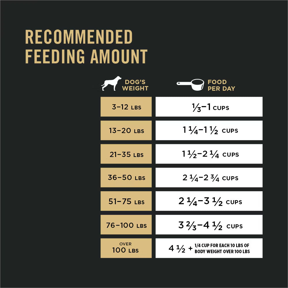 Pro Plan Adult 7+ Complete Essentials Shredded Blend Chicken & Rice Dry Dog Food (6lb) – alternate view 3