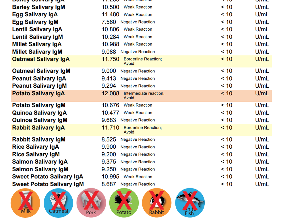 Dog Food Allergy & Sensitivity Test Kit – alternate view 2