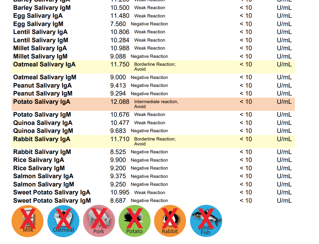 Dog Food Allergy & Sensitivity Test Kit – alternate view 2