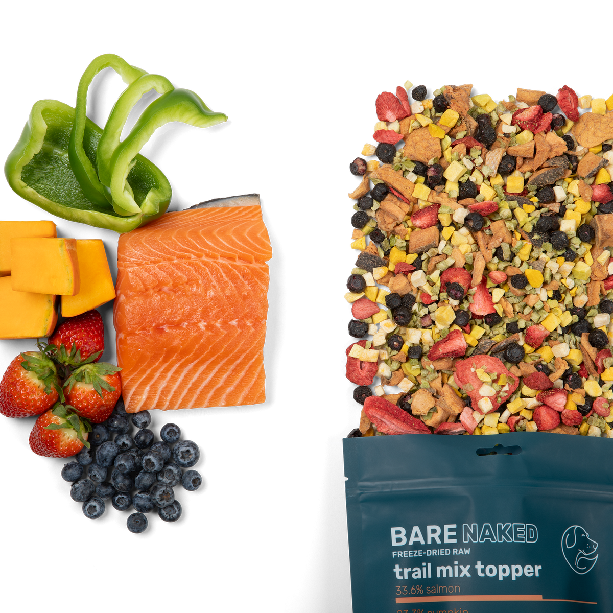 Salmon Mix Dog Treats – Healthy – alternate view 4
