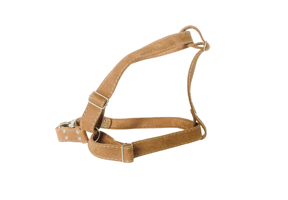Step In Leather Dog Harness – alternate view 3