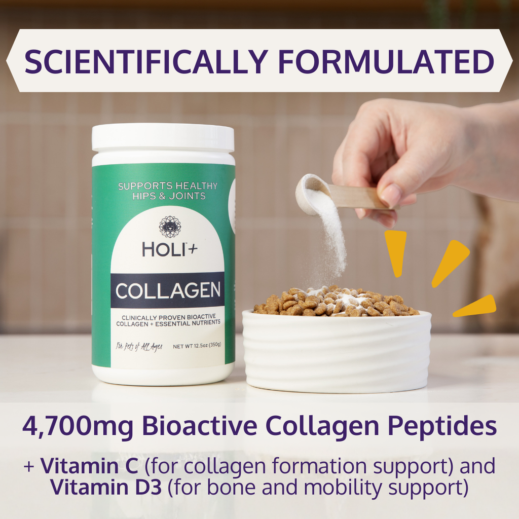 HOLI+ Collagen hip and joint support powder for dogs – photo 2 of 10