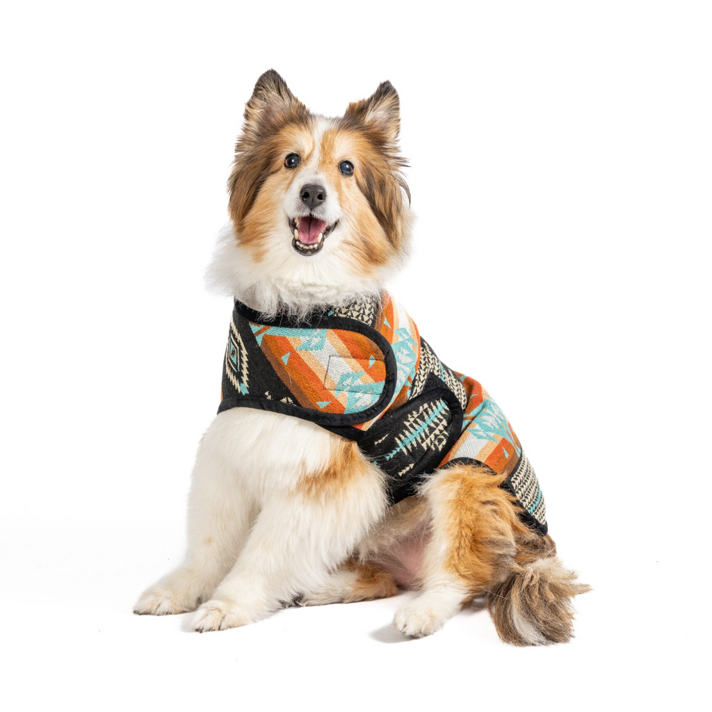Black Canyon Dog Blanket Coat Southwest Pattern with Fleece Lining – photo 4 of 5