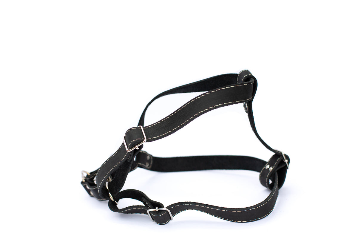 Step In Leather Dog Harness – alternate view 5