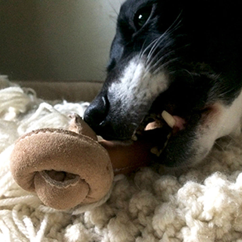 Huggle-Hide Natural Leather Bone Dog Toy 3 Pack, lifestyle