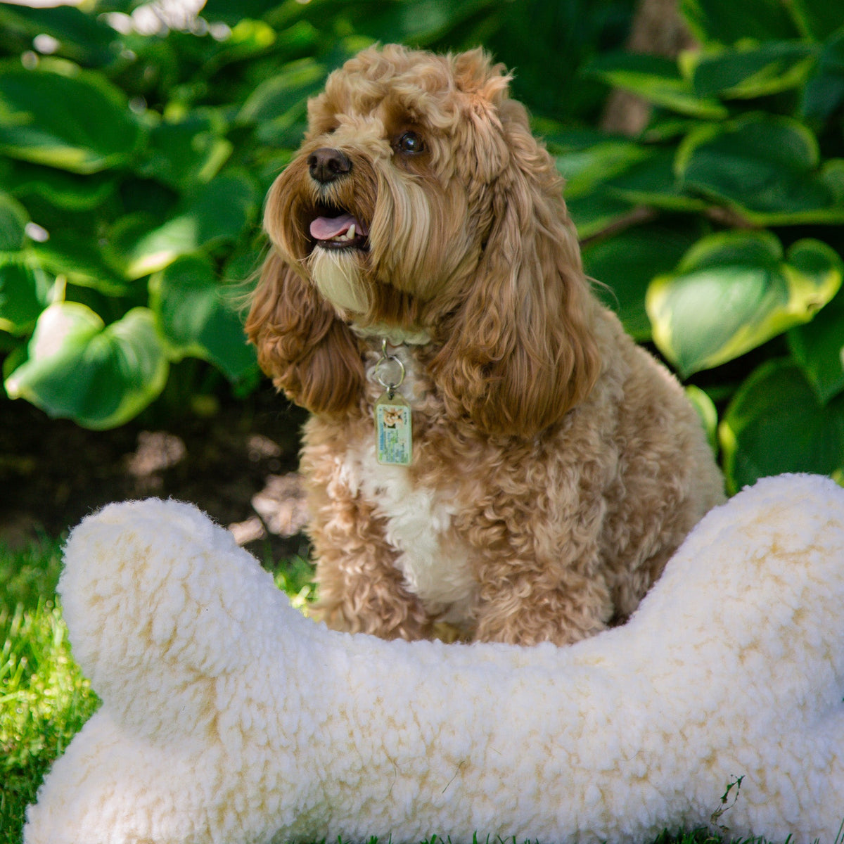 HuggleFleece 2 Plush Bone Dog Toy, side view