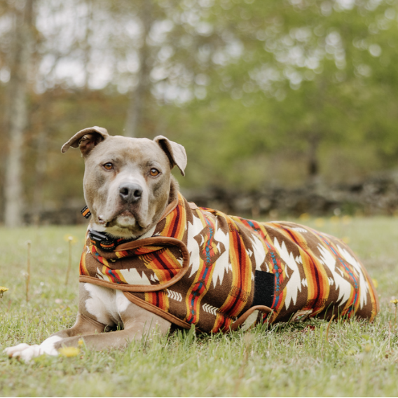 Brown Southwest Dog Coat Fleece Lined Blanket Coat – photo 7 of 7