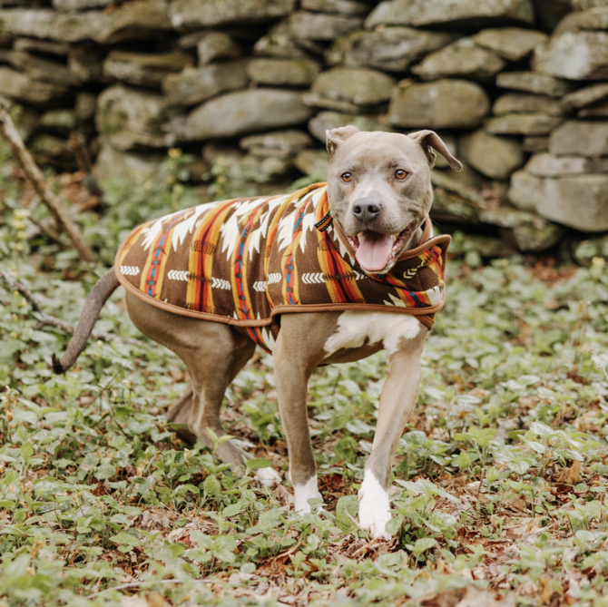 Brown Southwest Dog Coat Fleece Lined Blanket Coat – photo 6 of 7
