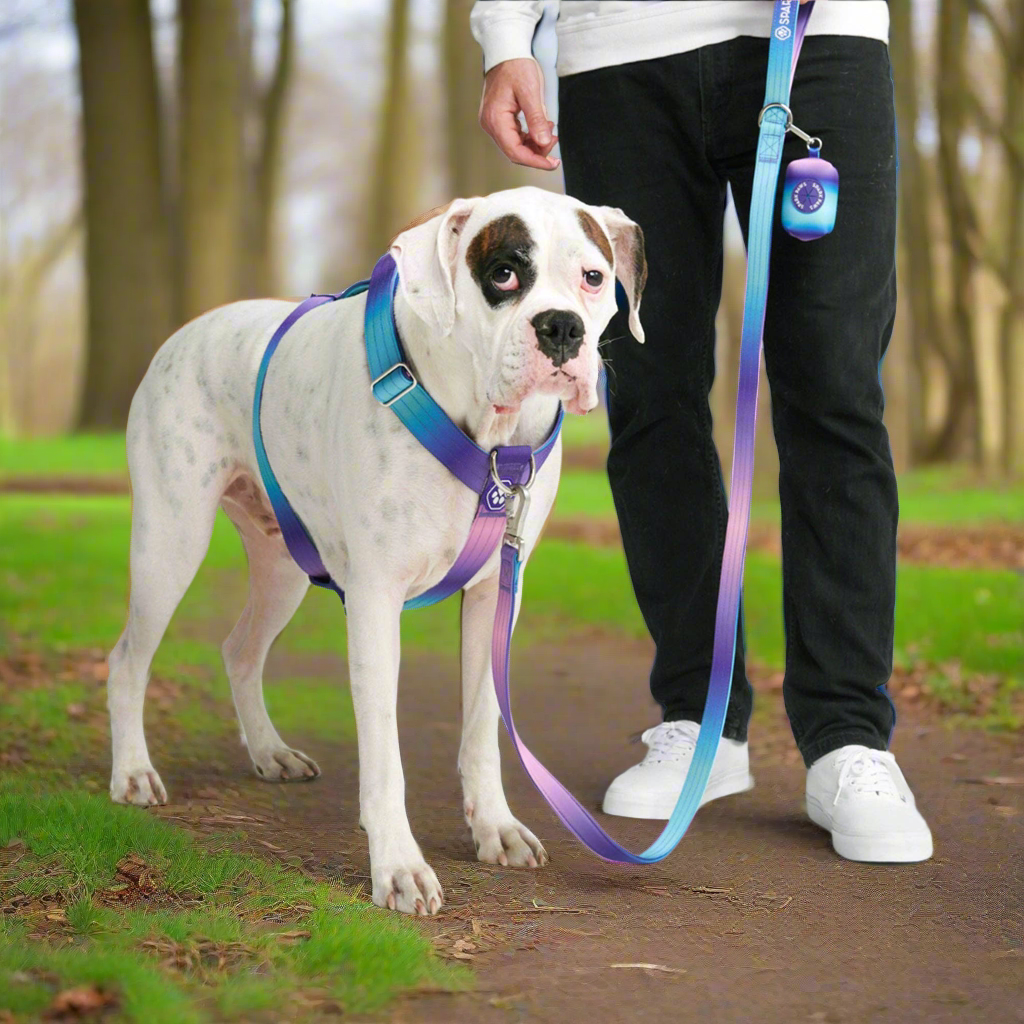 Comfort Control No-Pull Dog Harness – 90s Retro – alternate view 3