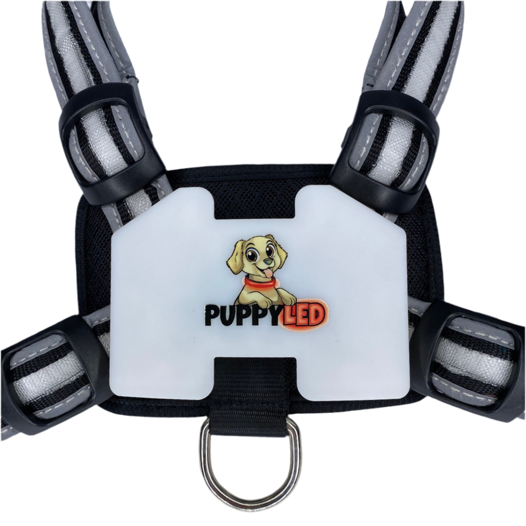 LED Dog Harness – alternate view 18