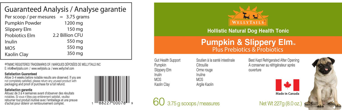 WellyTails Pumpkin and Slippery Elm probiotic digestive powder for dogs – photo 2 of 3