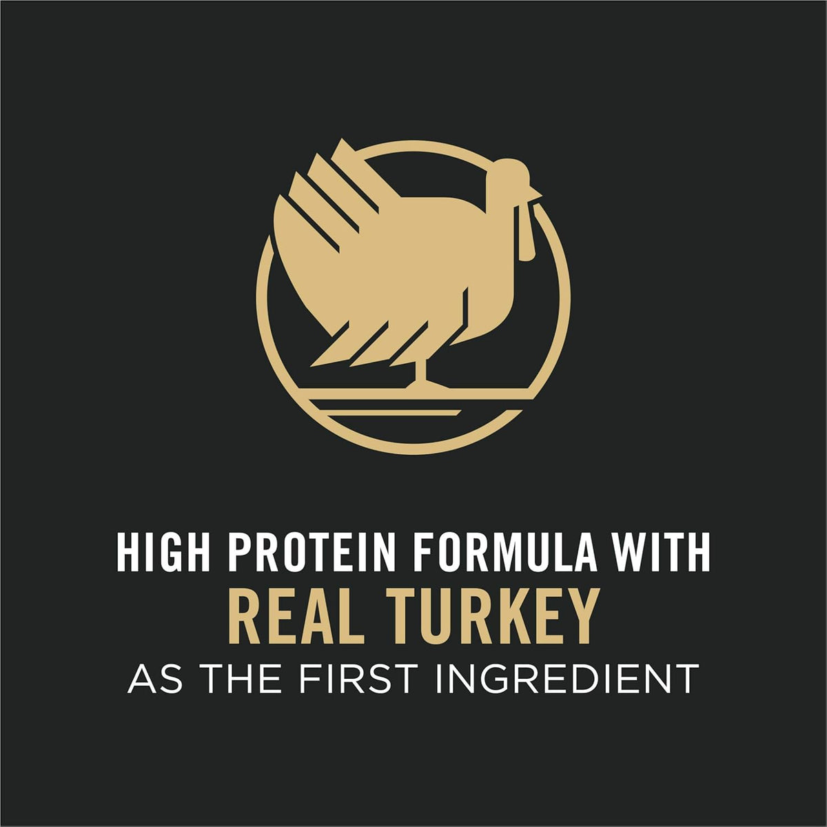 Purina Pro Plan Adult Complete Essentials Turkey & Rice Probiotic Dry Dog Food – alternate view 4
