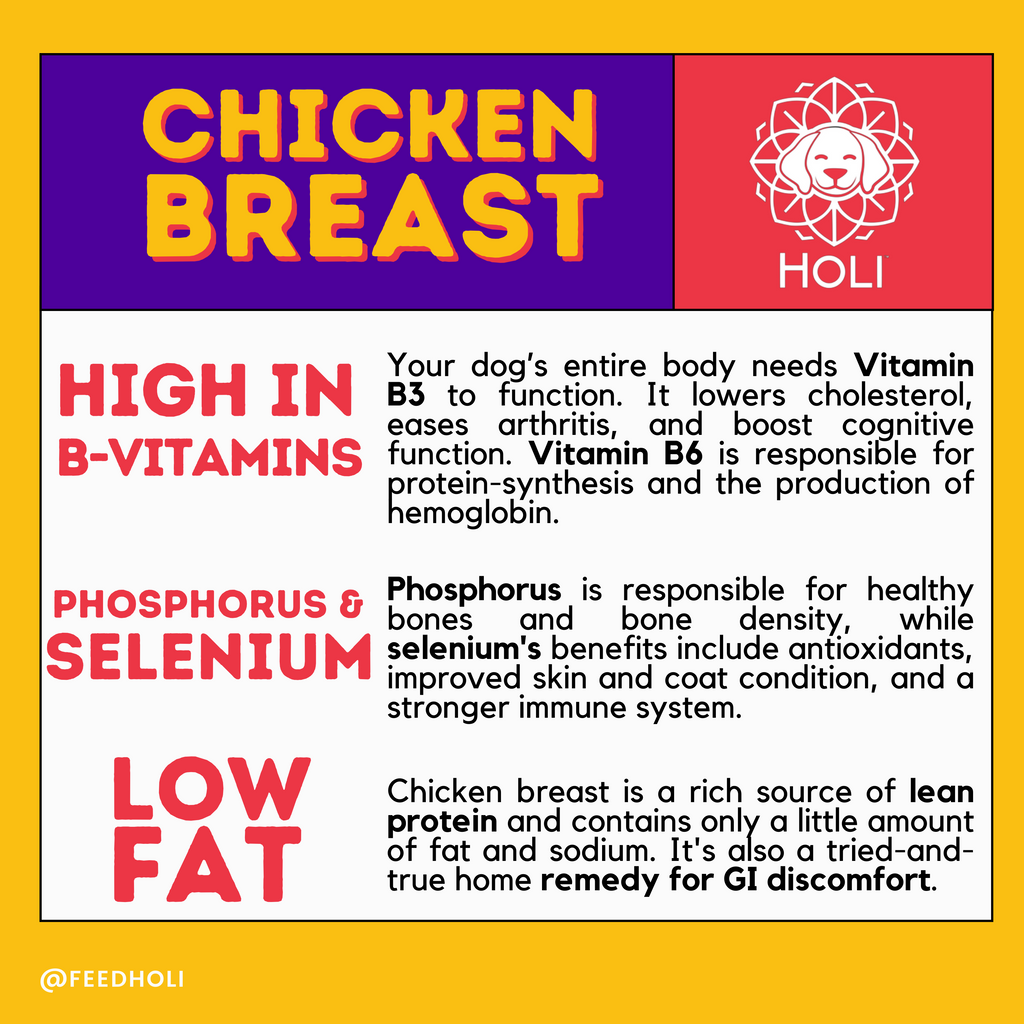 Chicken Breast Dog Food Topper - Freeze Dried - Single Ingredient – detail