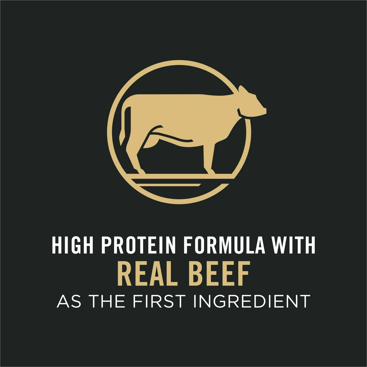 Pro Plan Adult Complete Essentials Shredded Blend Beef & Rice Dry Dog Food – alternate view 5