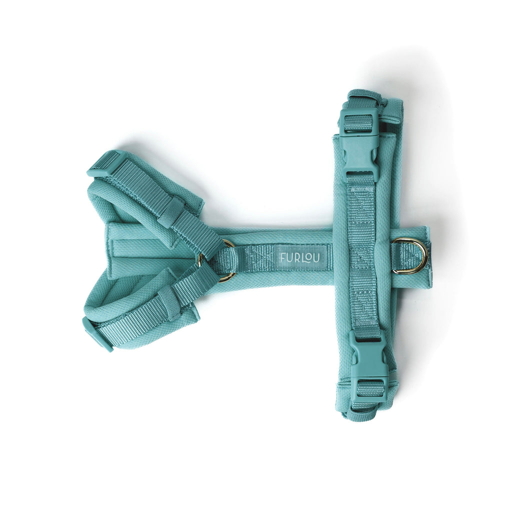 Blue Comfort Dog Harness, alternate view