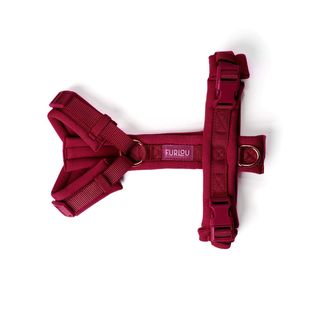 Bordeaux Comfort Dog Harness, alternate view