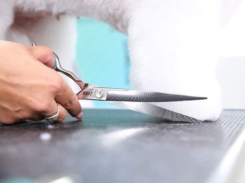 Zora Curved Pet Grooming Shears – Professional Grooming Scissors – alternate view 15