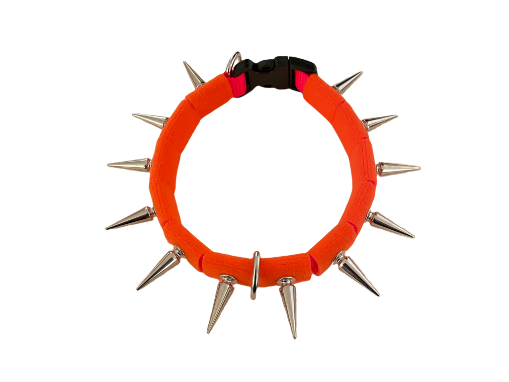 CoyoteCollar – Protective Dog Collar – alternate view 23