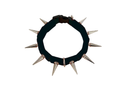 CoyoteCollar – Protective Dog Collar – alternate view 24