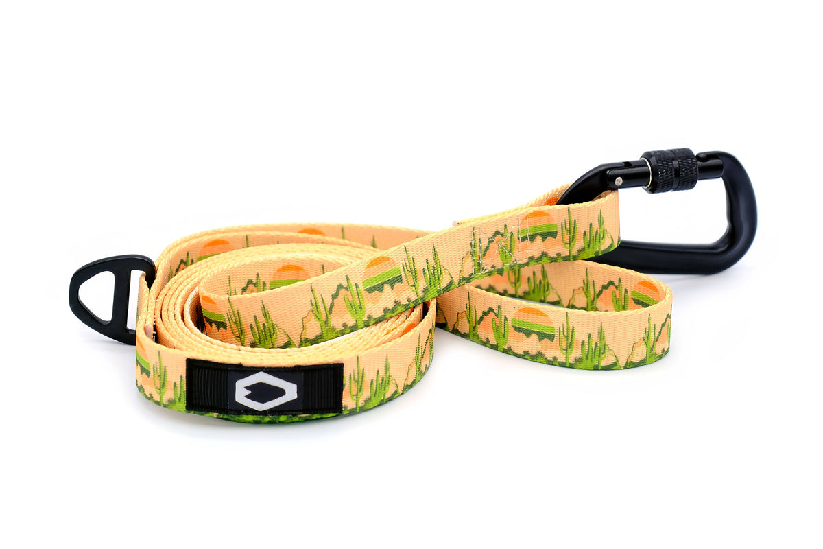 Outdoor Style Nylon Dog Leash – alternate view 2