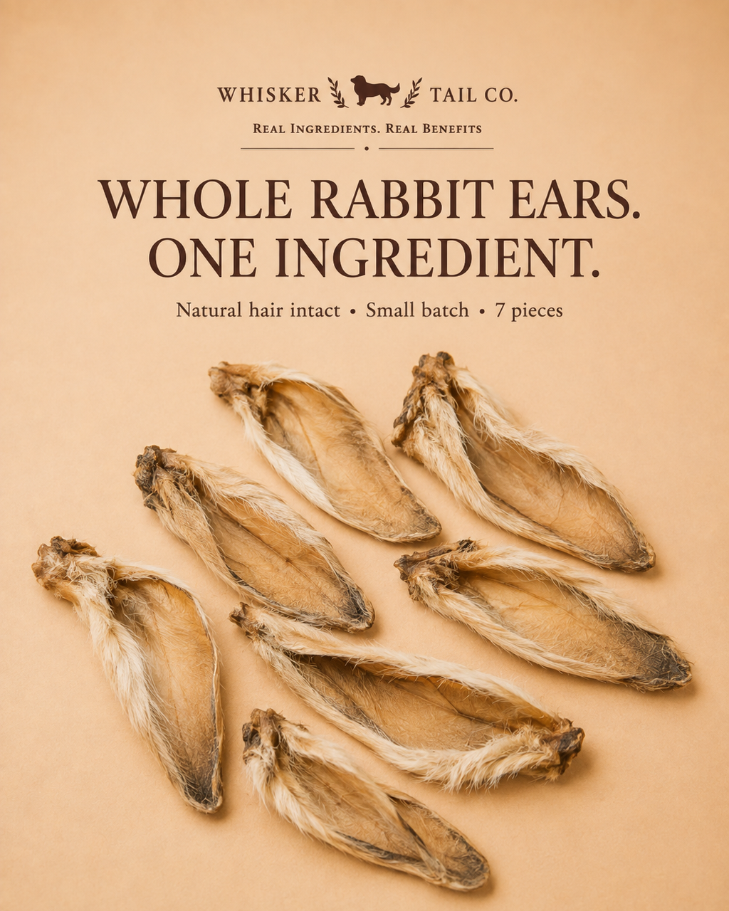 Rabbit Ears Natural Chew for Dogs & Cats – alternate view 5