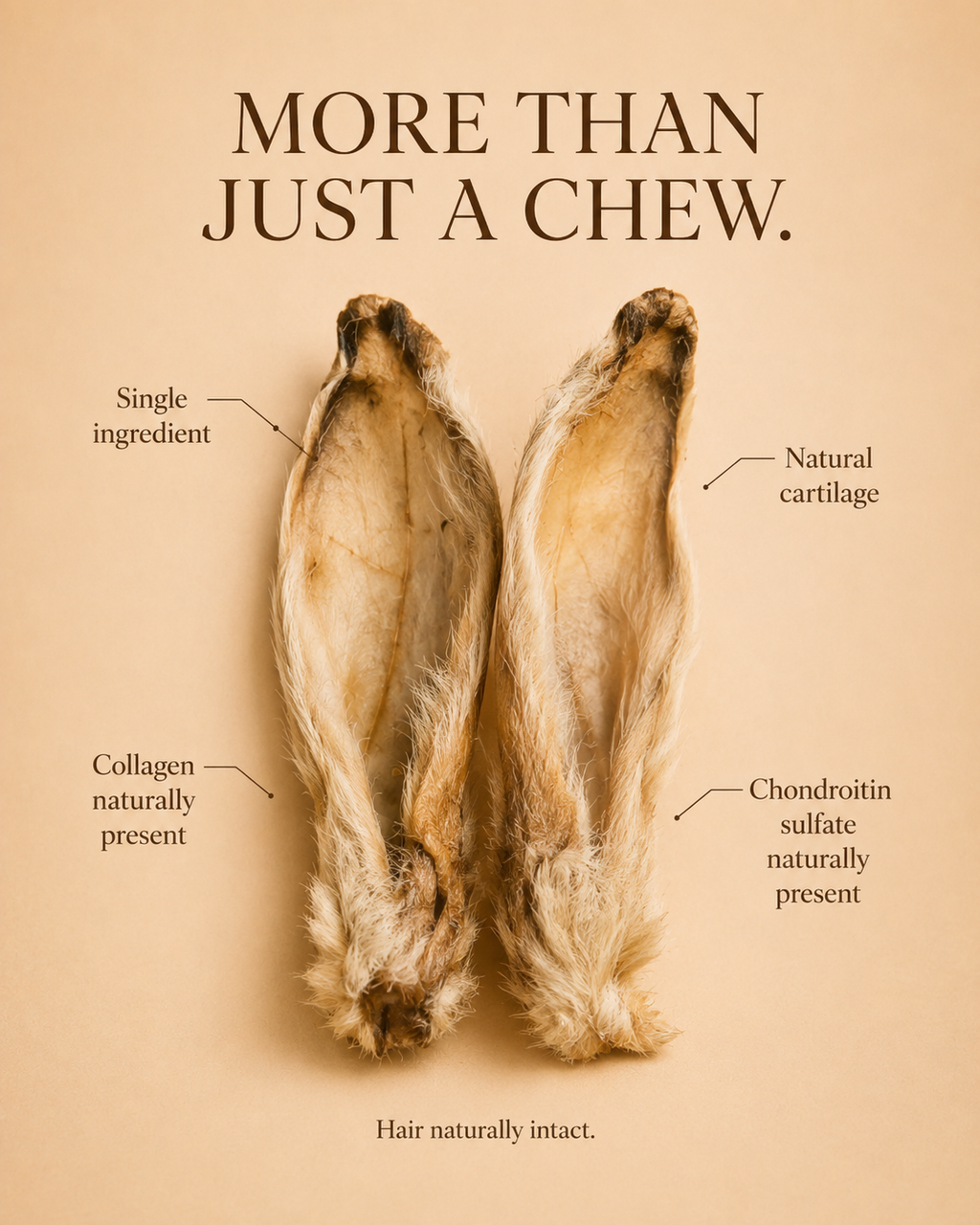 Rabbit Ears Natural Chew for Dogs & Cats – alternate view 6