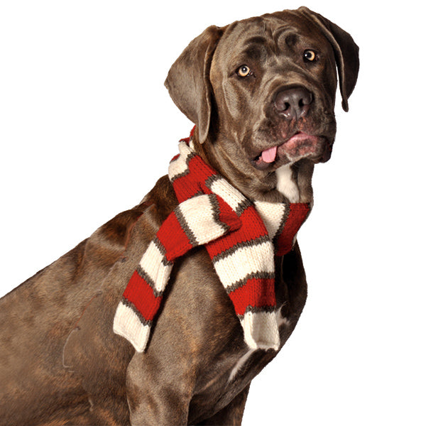 Red and White Striped Pet Scarf Candy Cane Wool – photo 1 of 3