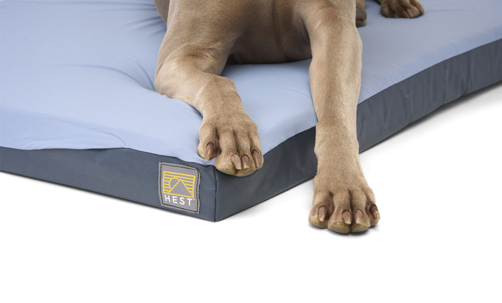 HEST dog bed with premium memory foam cushioning