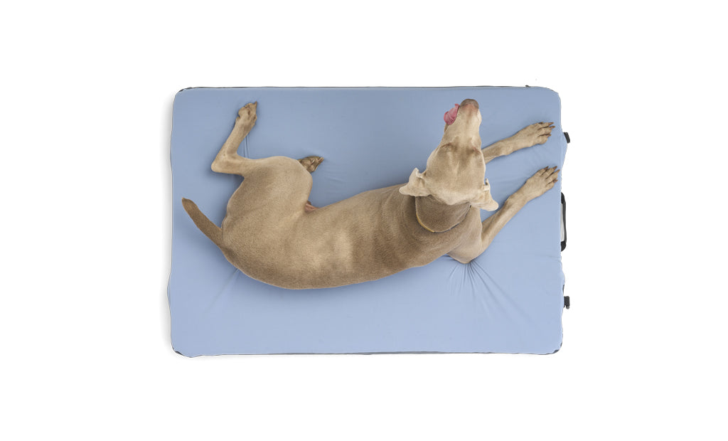 HEST dog bed with premium memory foam cushioning