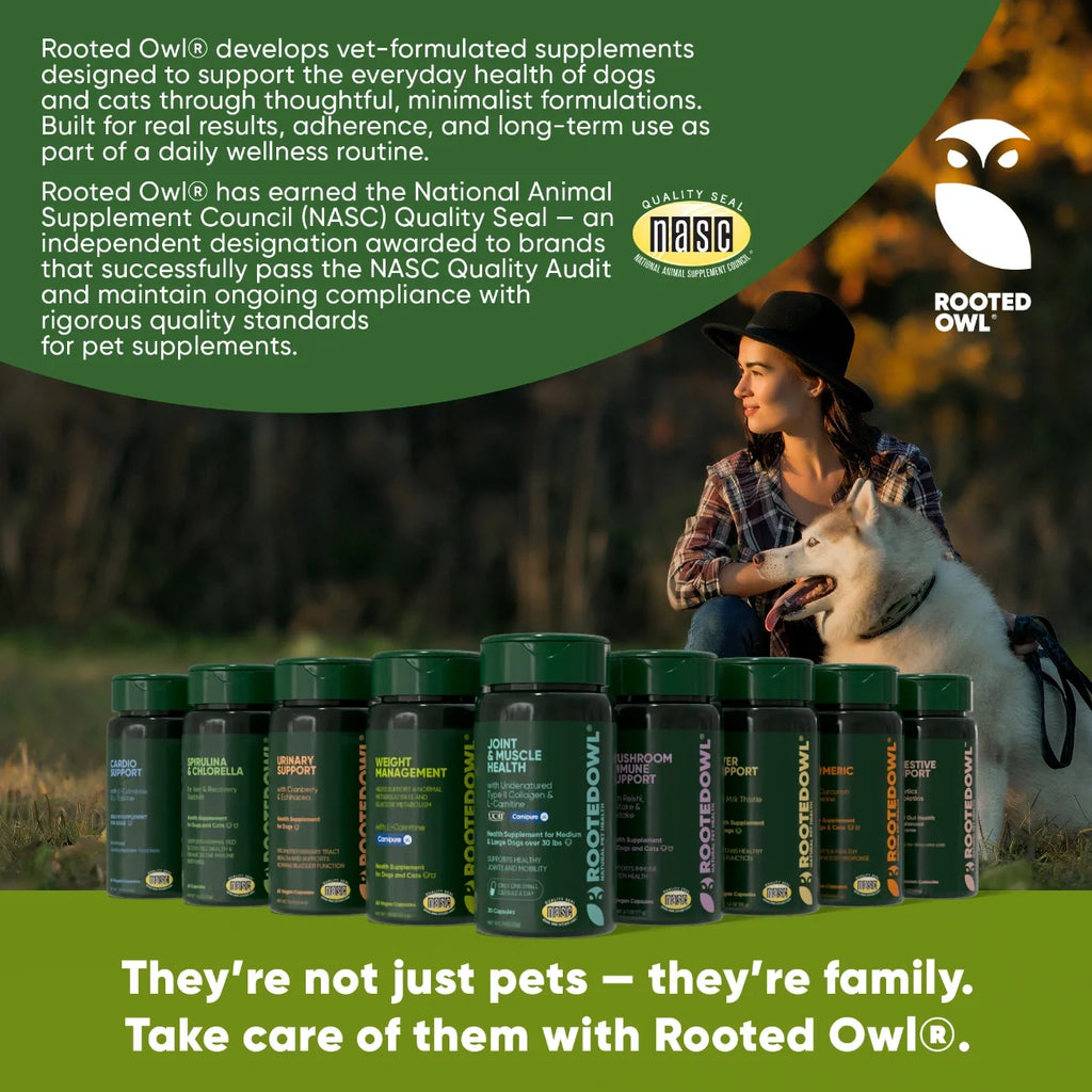 Rooted Owl Natural Immunity mushroom supplement for dogs and cats – photo 10 of 10