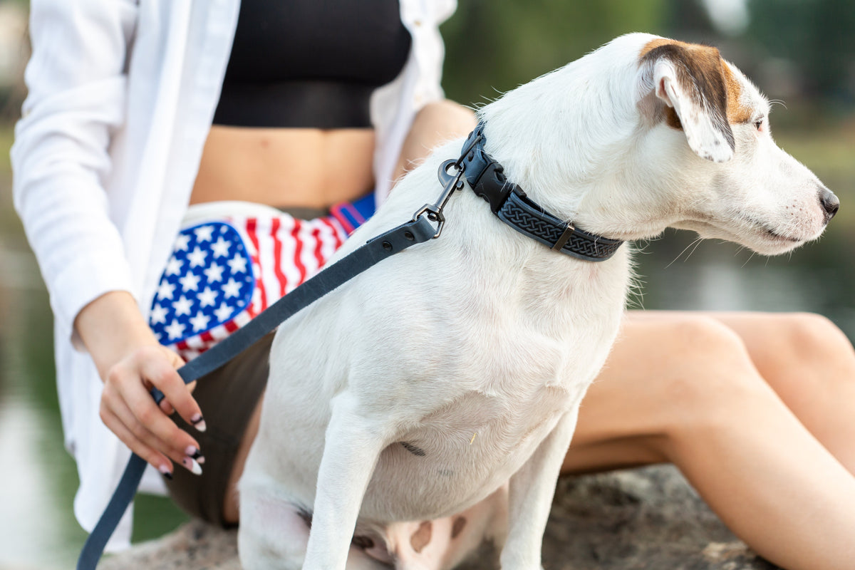 Celtic Sport Quick-Release Leather Dog Collar – alternate view 13