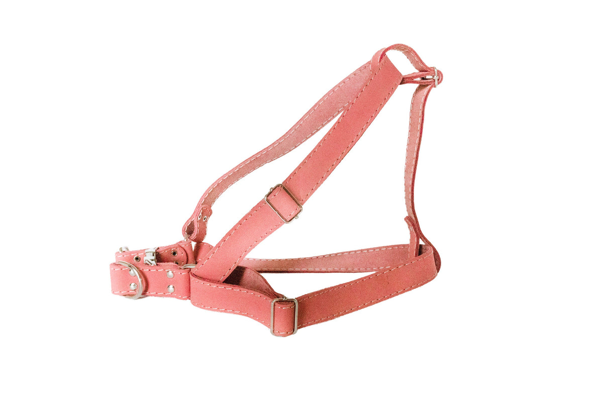 Step In Leather Dog Harness – alternate view 2