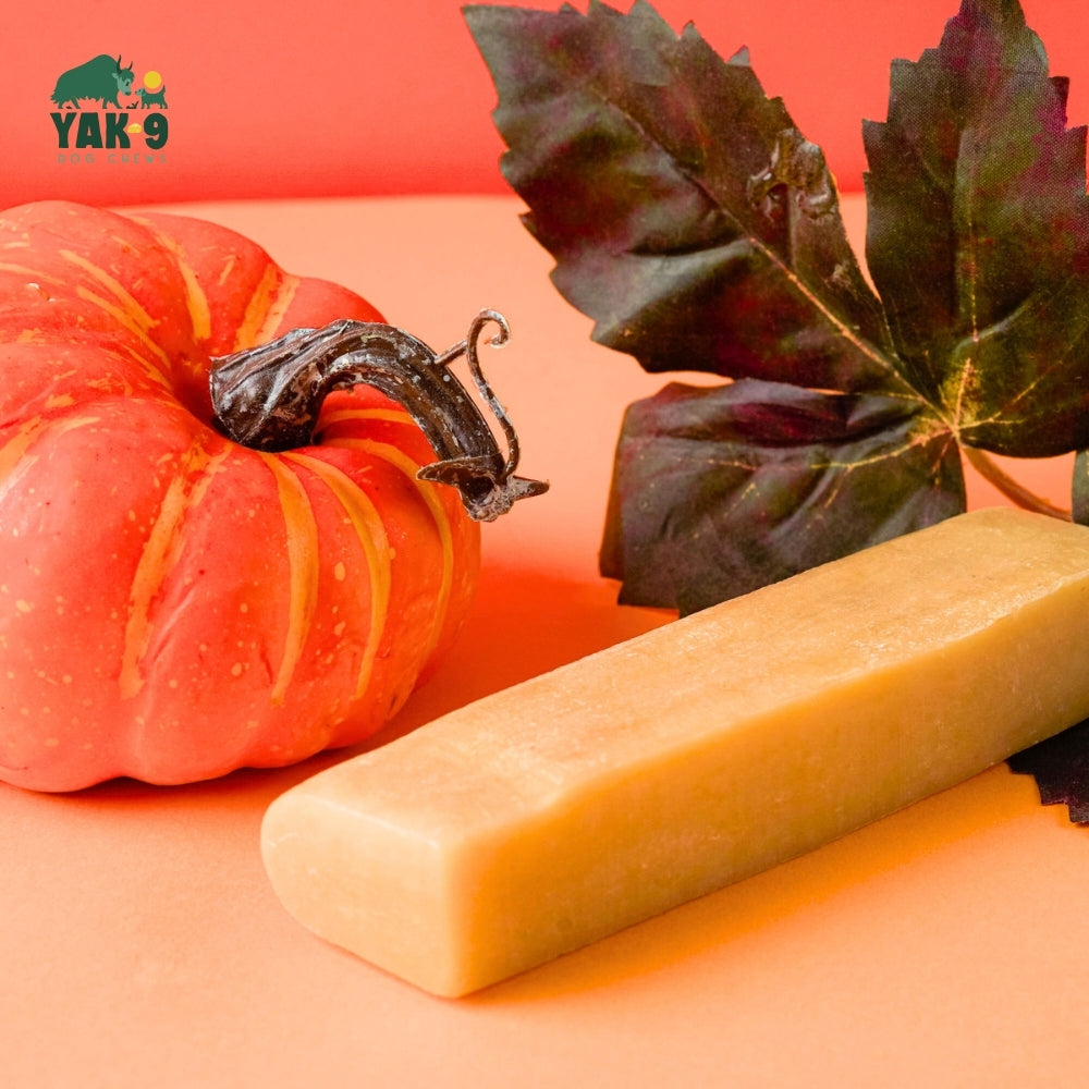 Pumpkin Yak Chews for Dogs – alternate view 4