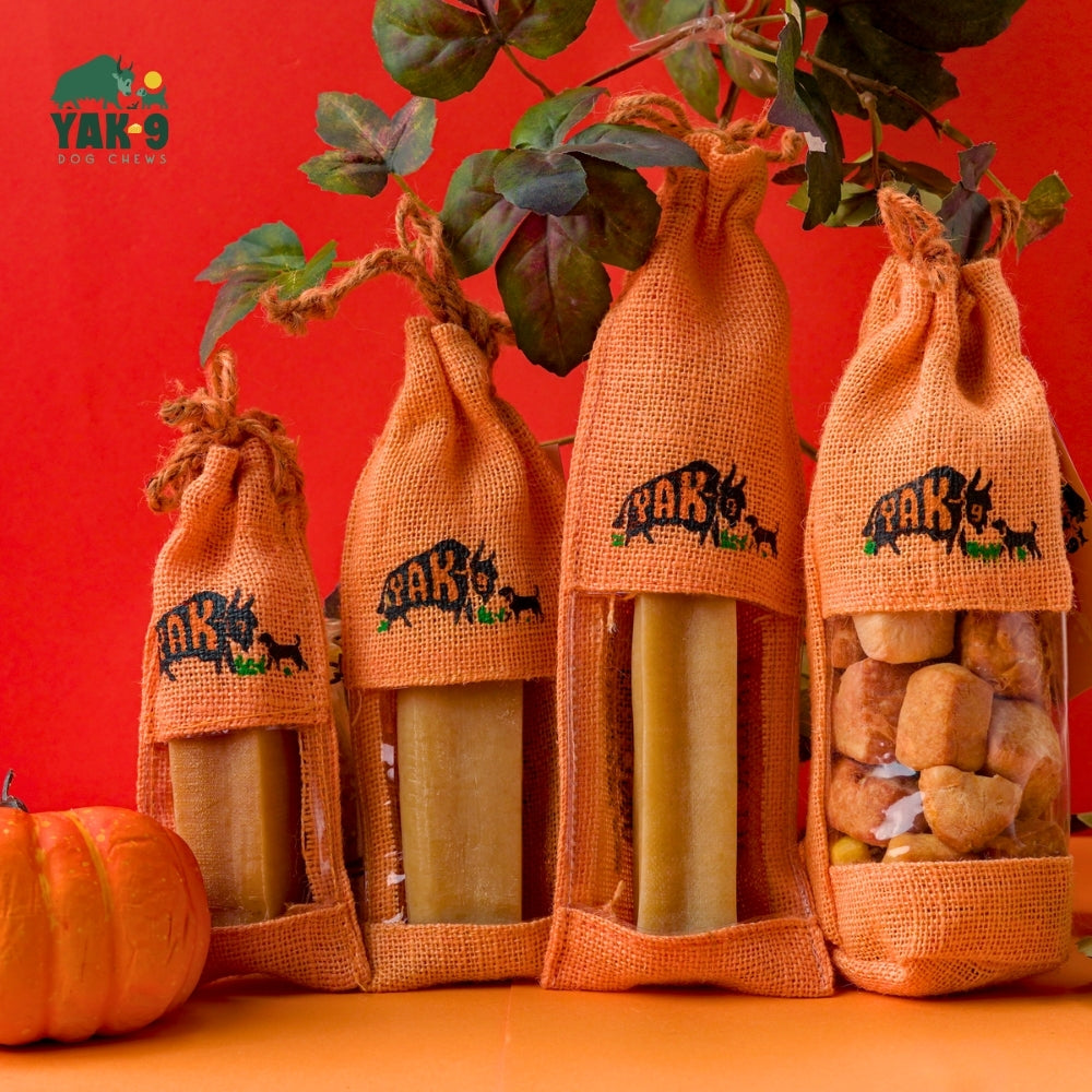 Pumpkin Yak Chews for Dogs – front view
