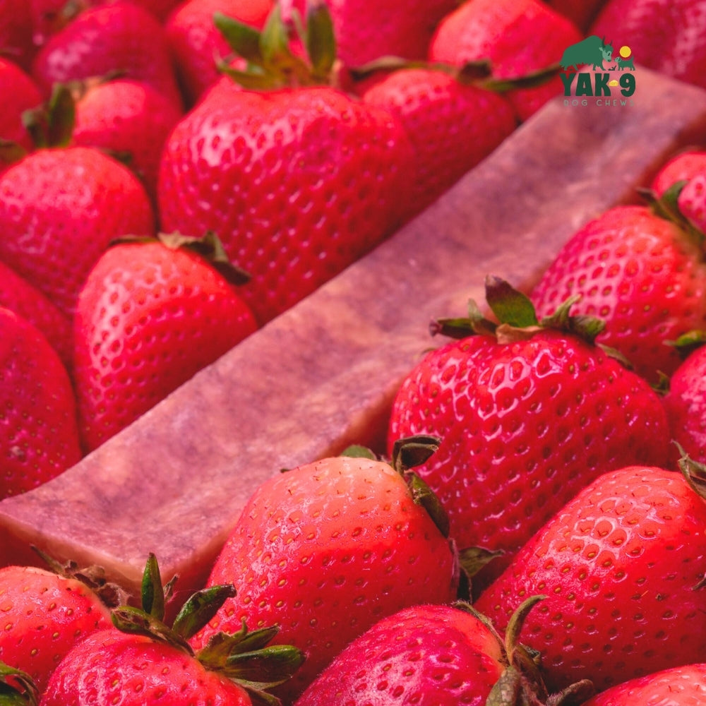 Strawberry Cheese Chews for Dogs – alternate view 6