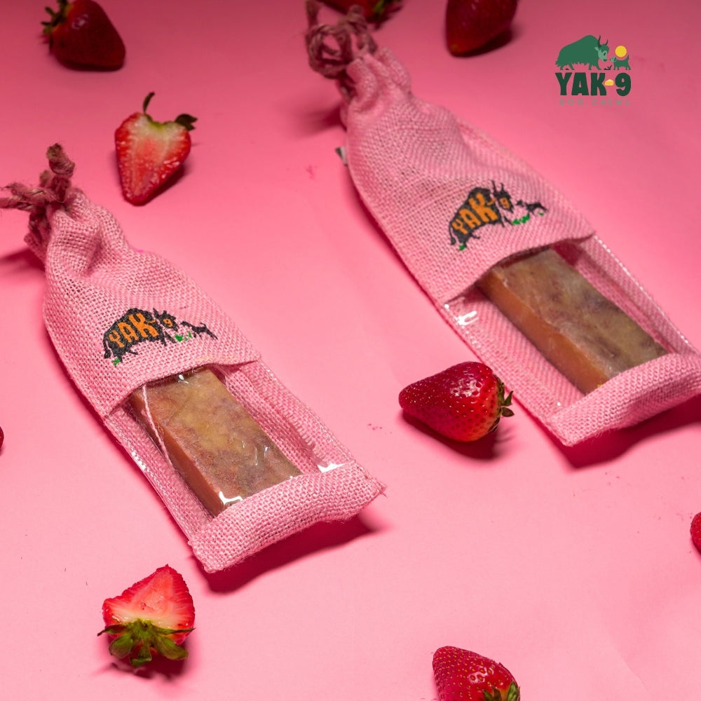 Strawberry Cheese Chews for Dogs – alternate view 4