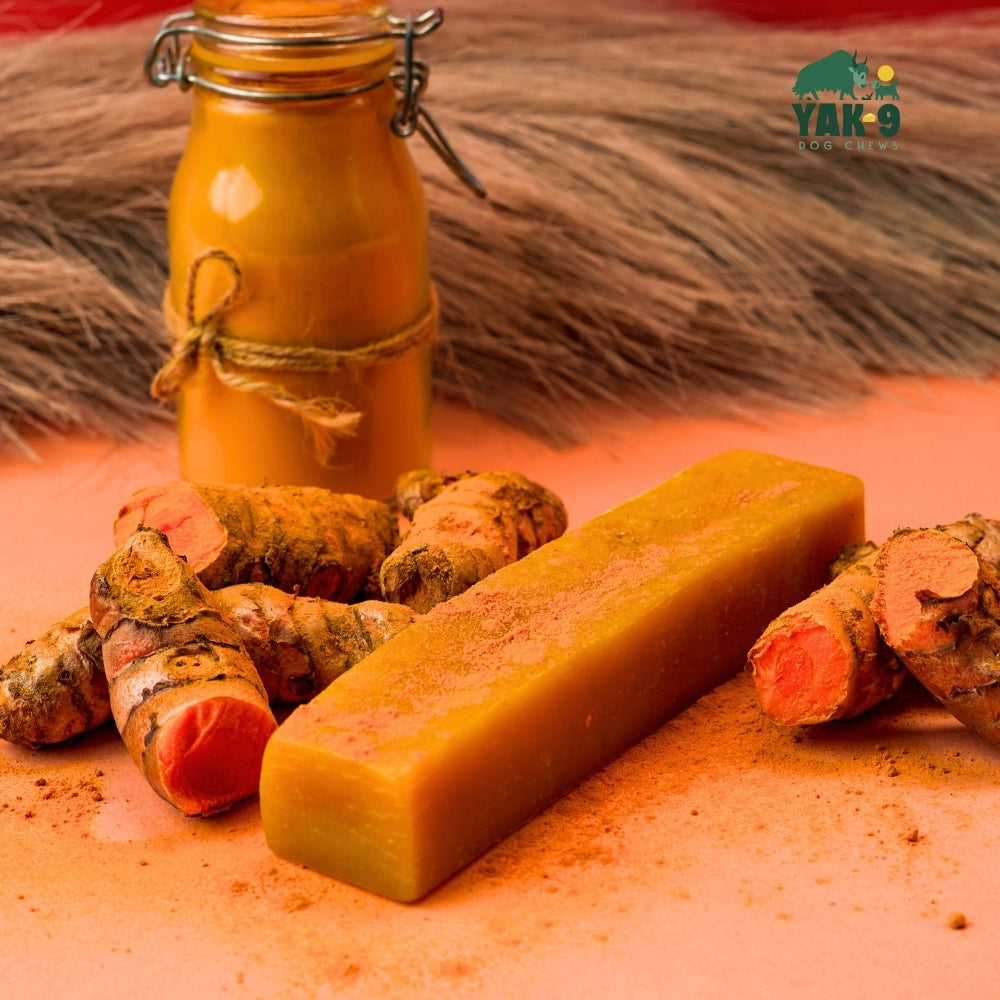 Turmeric Yak Milk Chews for Dogs – alternate view 4