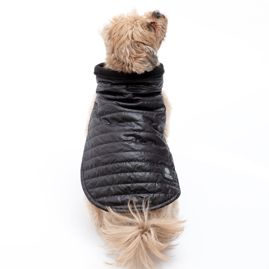 AKC Belly Band Dog Puff Coat Fleece Lined – photo 12 of 13