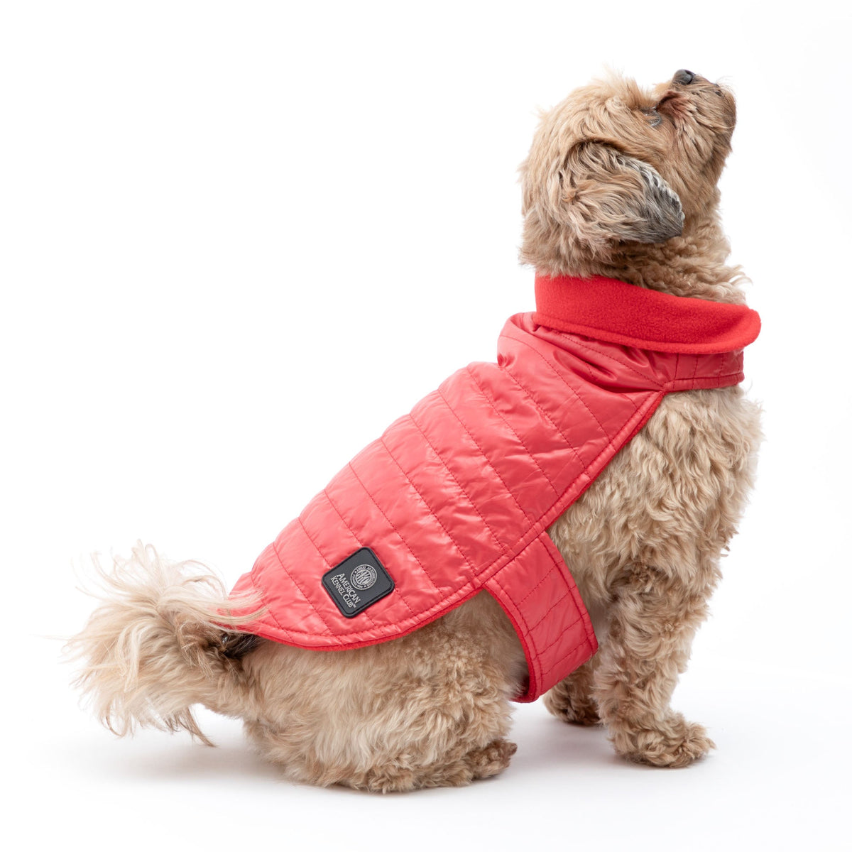 AKC Belly Band Dog Puff Coat Fleece Lined – photo 2 of 13