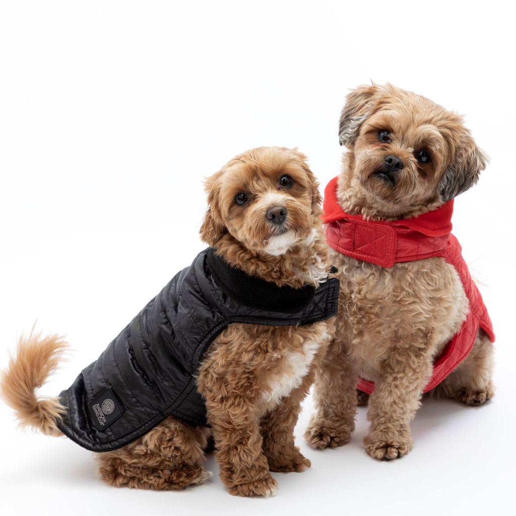 AKC Belly Band Dog Puff Coat Fleece Lined – photo 1 of 13