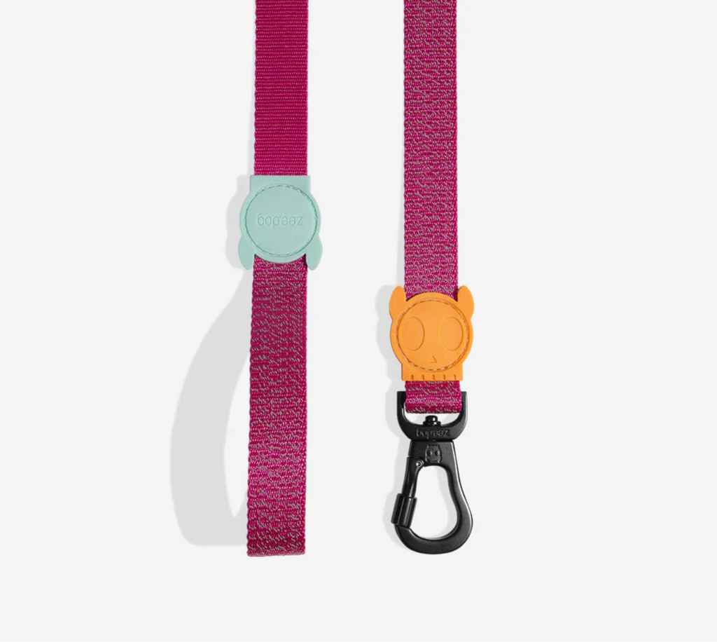 NOX Sidus Dog Leash – front view