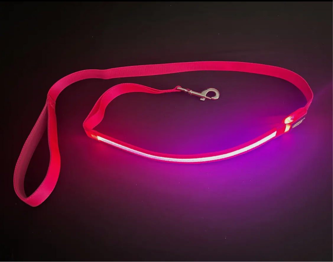 Light Up LED Dog Leash: Blue – alternate view 5