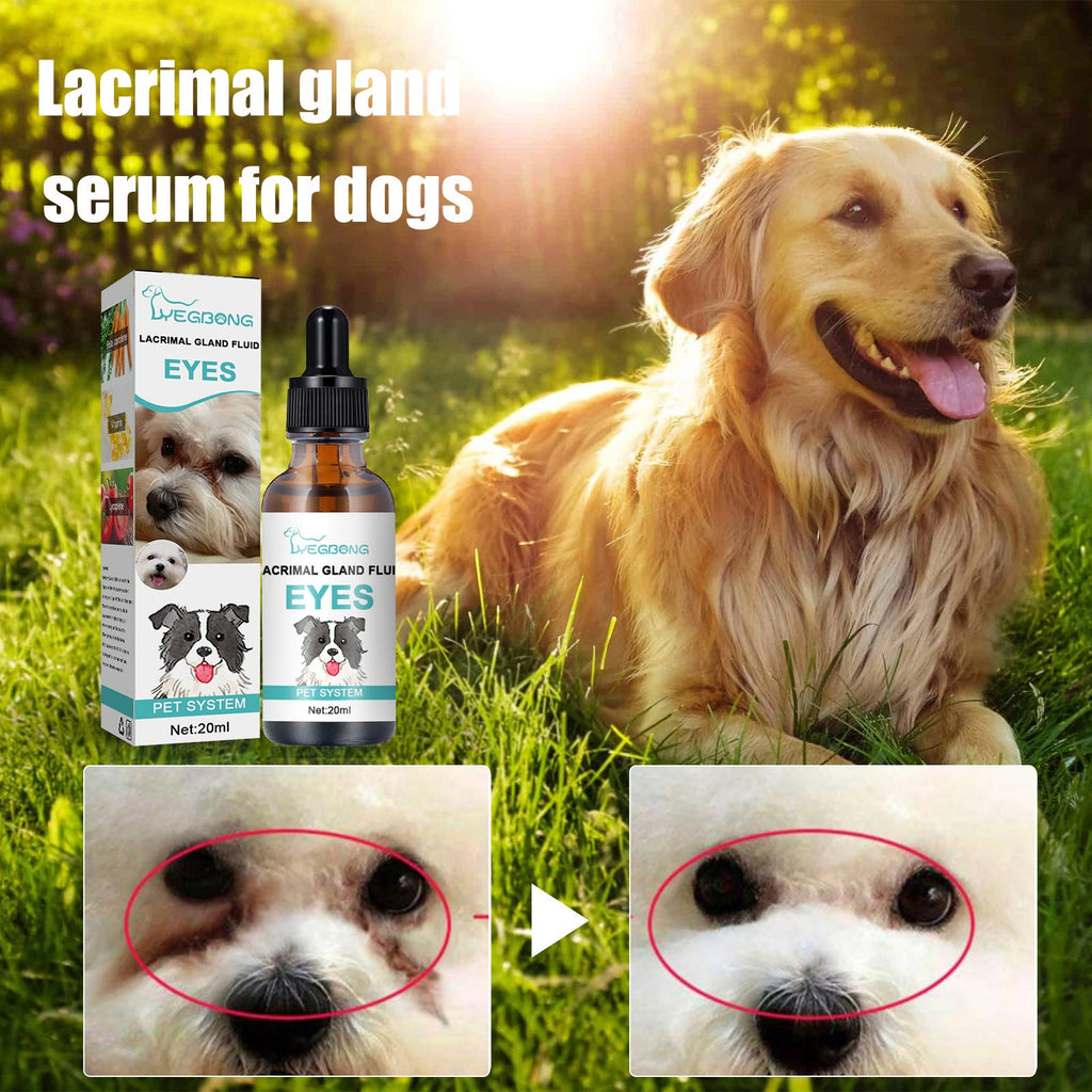 Tear duct serum for dogs and cats eye tear stain remover, dropper applicator close-up