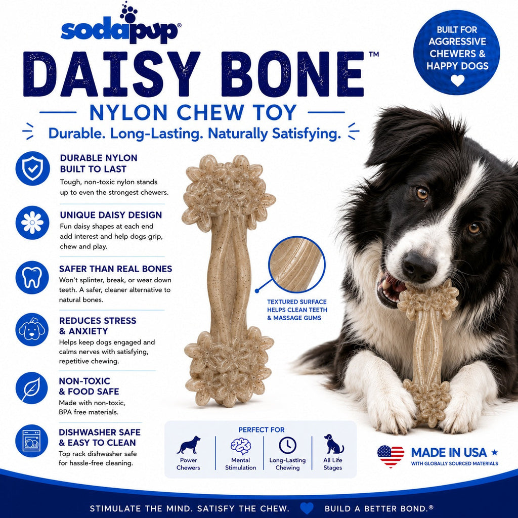 SodaPup Daisy Bone nylon dog chew toy – photo 3 of 8