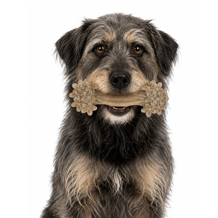 SodaPup Daisy Bone nylon dog chew toy – photo 7 of 8