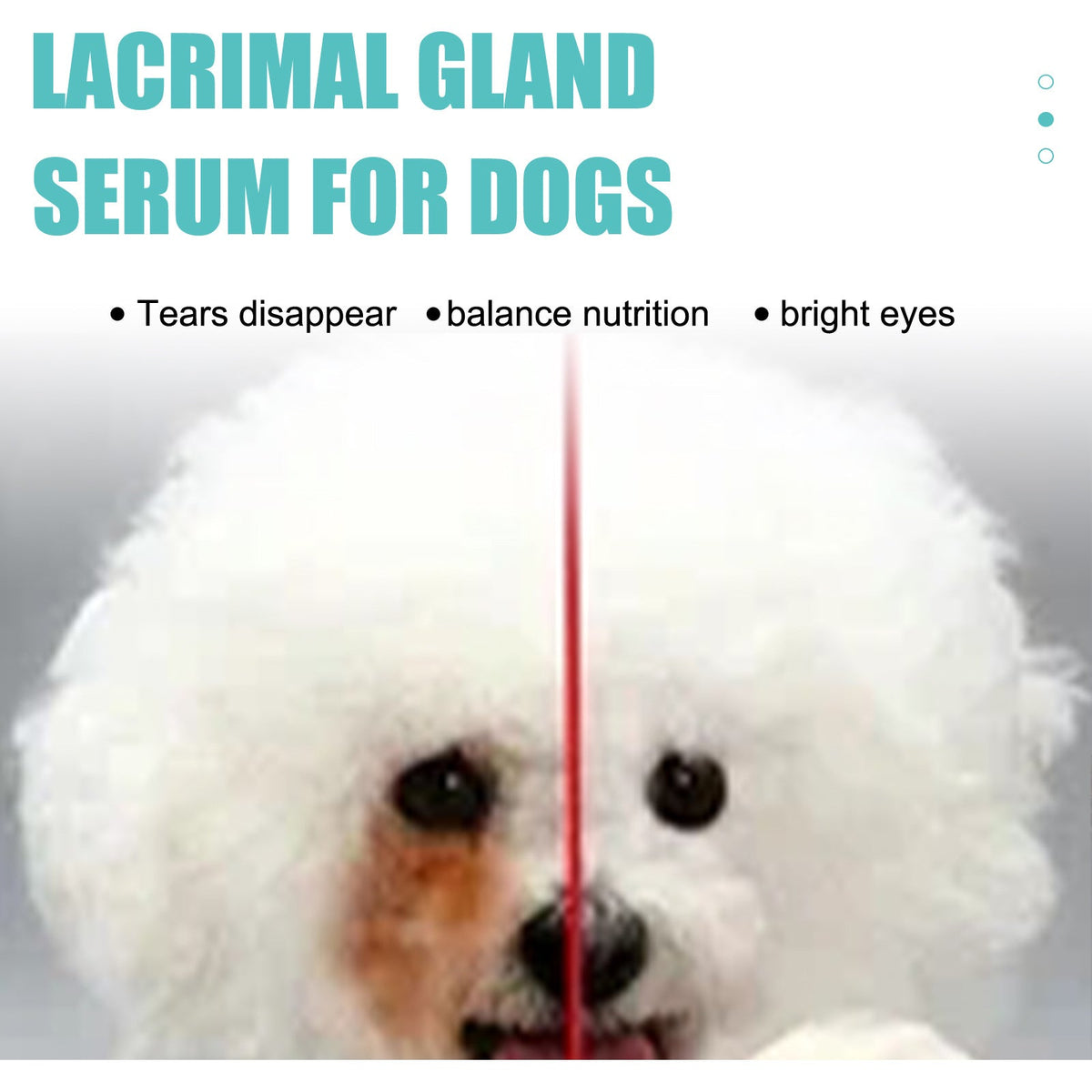 Tear duct serum for dogs and cats eye tear stain remover, tear stain removal results