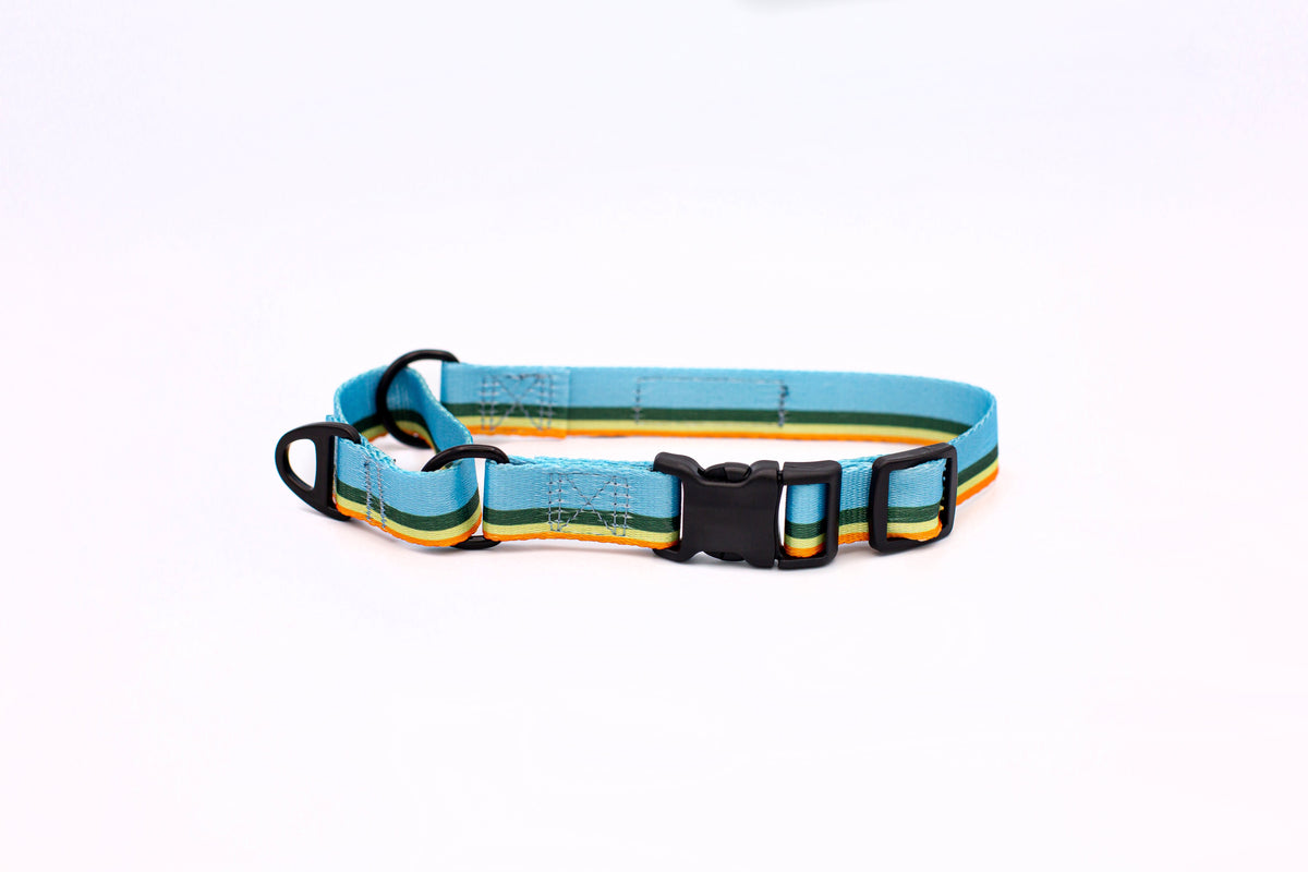 Outdoor Style Nylon Martingale Dog Collar – alternate view 2
