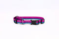 Outdoor Style Nylon Martingale Dog Collar – front view